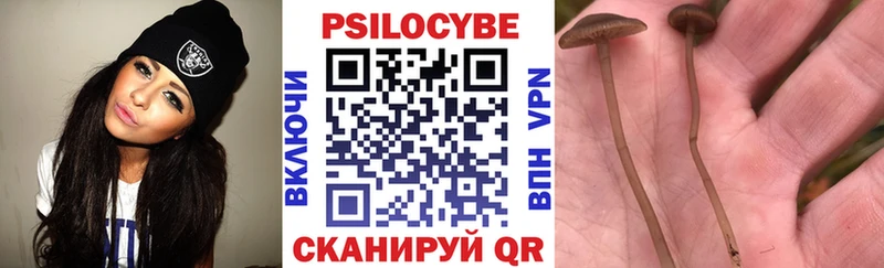 Псилоцибиновые грибы мухоморы hydra онион Подпорожье